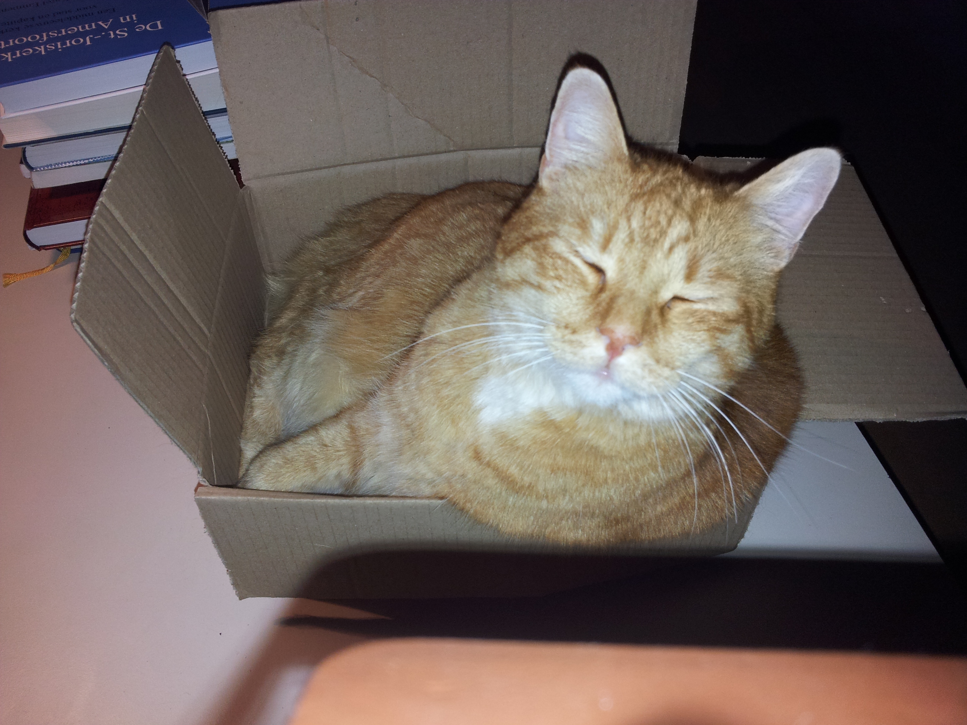 Doos? Daar moet ik dus in. Simba